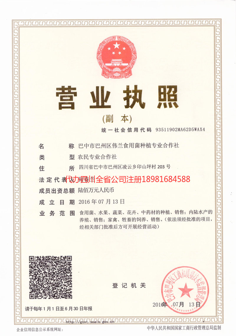 信阳信阳伟兰食用菌种植专业合作社